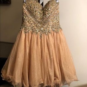 Gorgeous Terani Couture prom dress-60% off